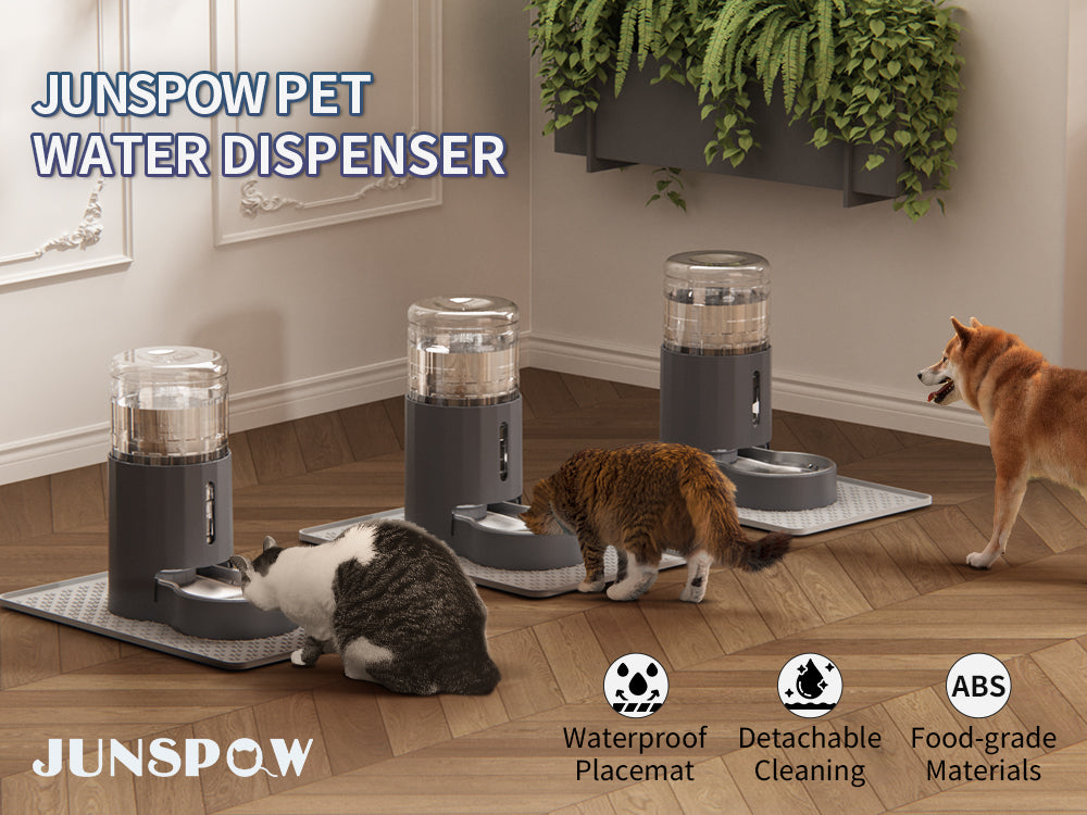 4L Cat Water Dispenser with Placemat and Stainless Steel Bowl