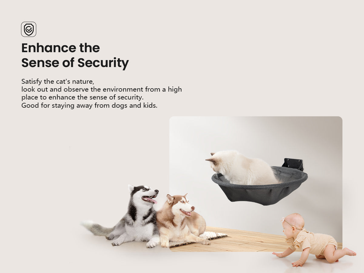 Cat Hammock Wall Mounted for Sleeping, Playing, Climbing - Maximum Hold Up to 30lb