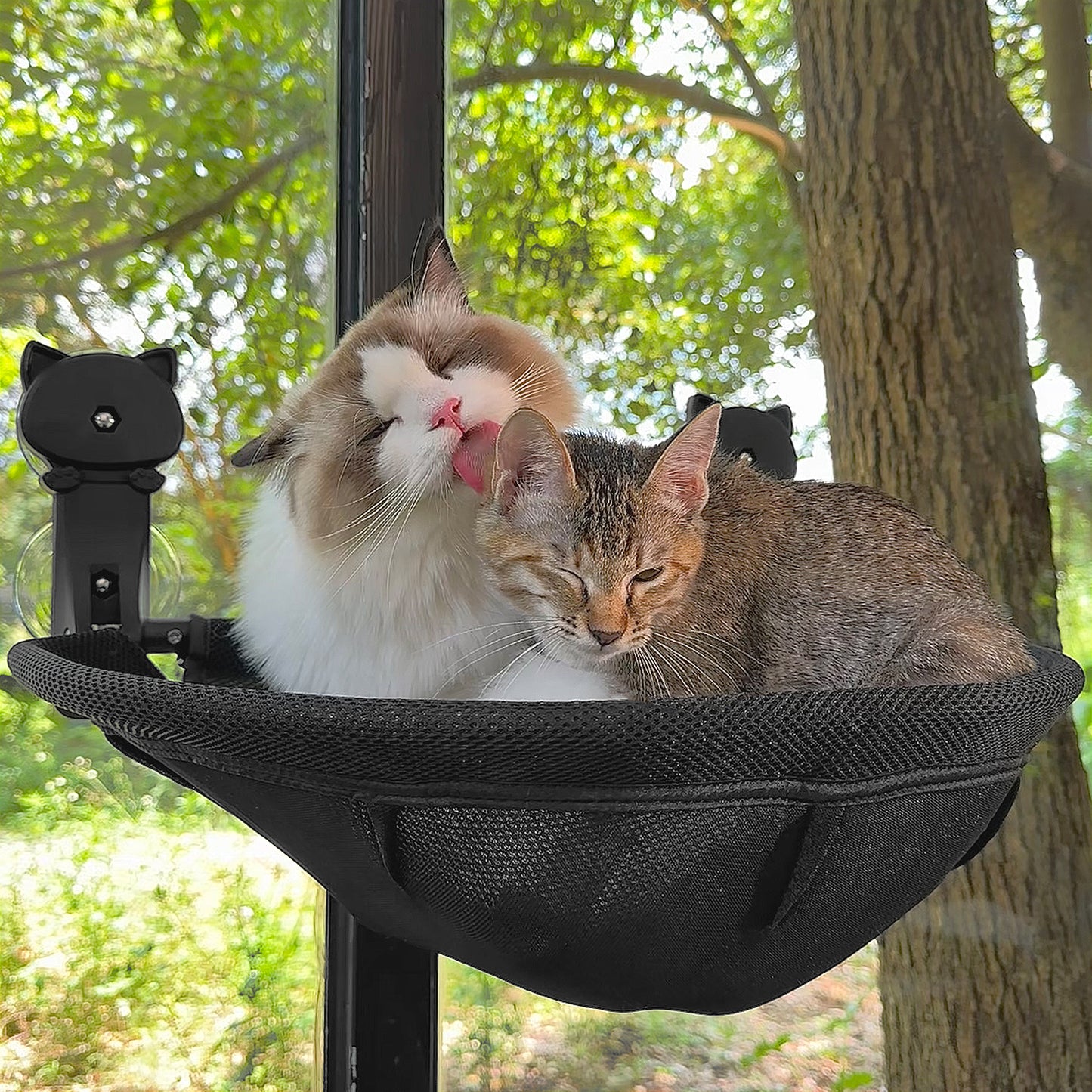 Cat Window Perch, Foldable & Breathable Cat Window Hammock - Maximum Hold Up to 40lb