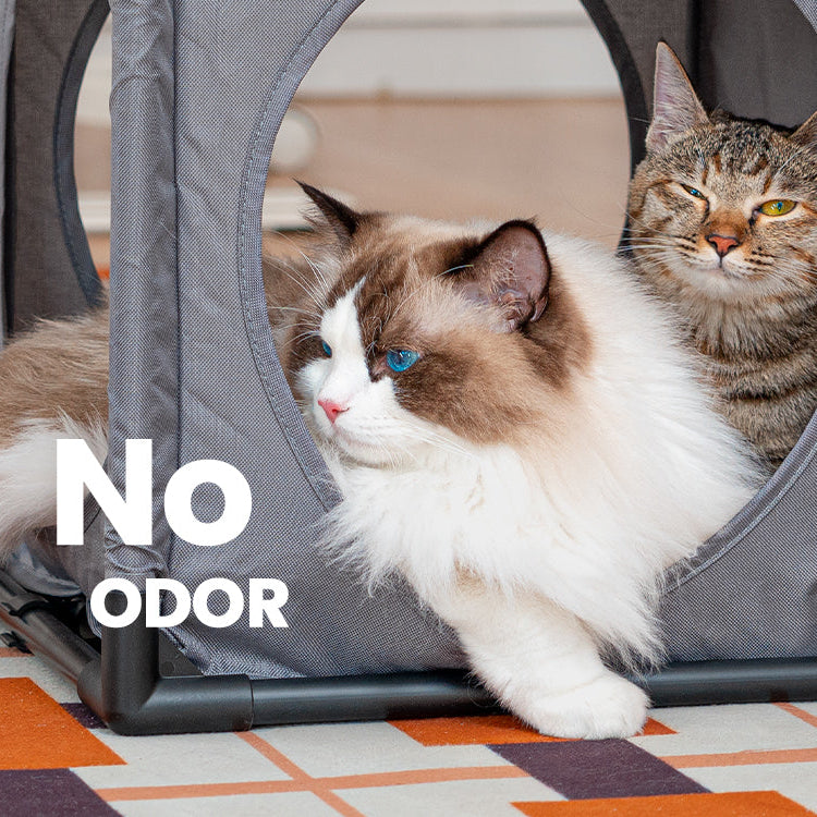 Expandable Kitty House