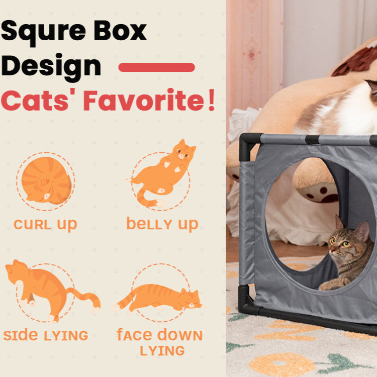 Expandable Kitty House