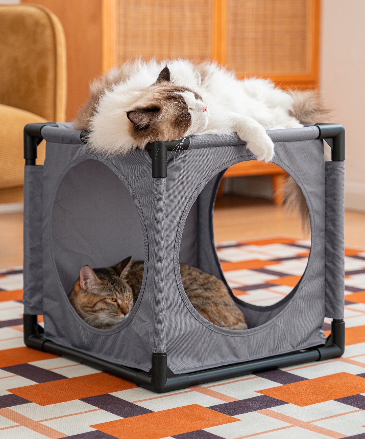 Expandable Kitty House
